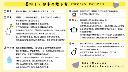 茨城県 筑西市産 コシヒカリ 10kg ( 5kg × 2袋 ) 令和7年産 新米 三ツ星 マイスター 米 コメ こしひかり 単一米 精米 [CH004ci]
