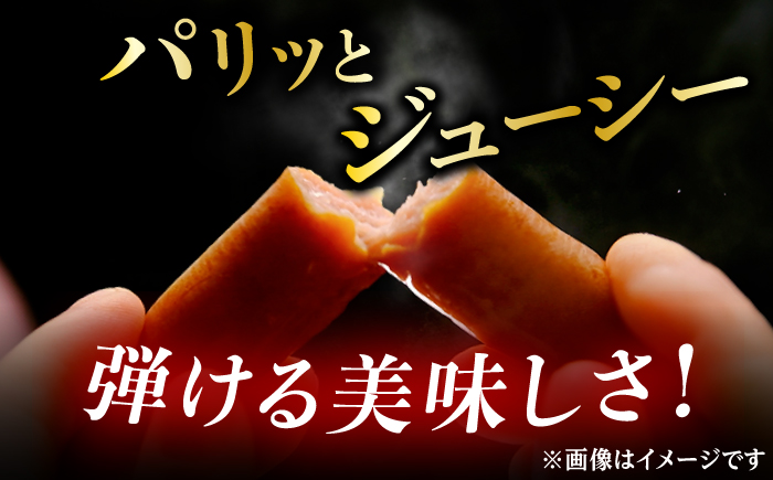 【お中元対象】DLGコンテストで金賞獲得！あらびきウインナー 計40本（80g×10P）使いやすい小分けパック お弁当 惣菜 ソーセージ / 佐賀県 / ふるさと倶楽部 [41ABCM008]