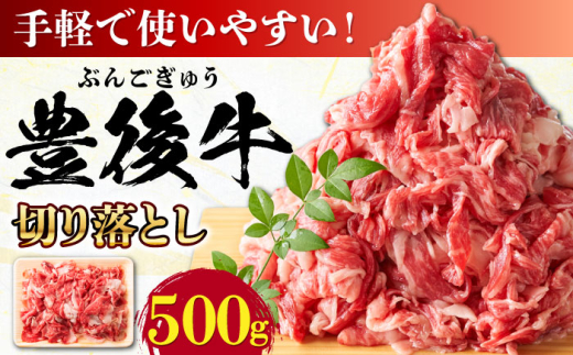 【使いやすい！】 おおいた豊後牛 牛肉 切り落とし 500g 日田市 / 株式会社MEAT PLUS 牛肉 おおいた豊後牛 おおいた 豊後牛 黒毛和牛 赤身 薄切り 切り落とし 和牛 [AREI002]