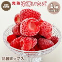 【ふるさと納税】【採れたて瞬間冷凍！】滋賀県愛荘町産　冷凍いちご 1kg（500g×2）品種ミックス　（ 有機 有機肥料 冷凍 いちご 紅ほっぺ よつぼし みおしずく あまえくぼ　BJ05）