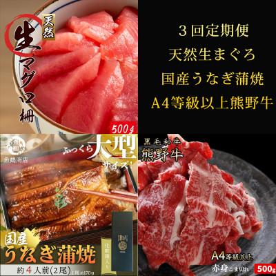 ふるさと納税 印南町 【毎月定期便】紀州和歌山うまいもんセットB(生まぐろ・うなぎ蒲焼・熊野牛)全3回