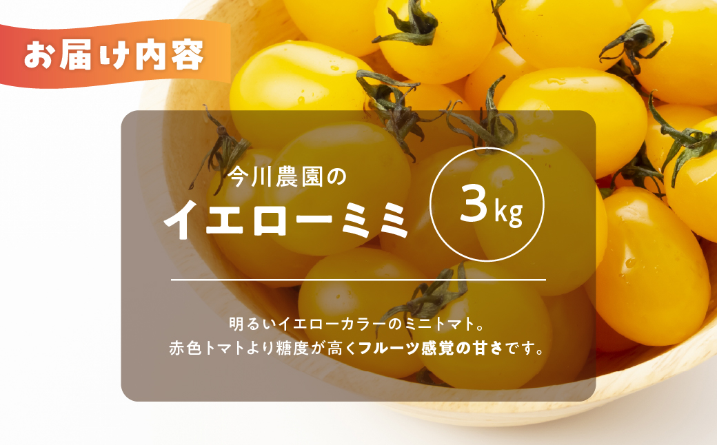 【ふるさと納税】【先行予約】今川農園のミニトマト イエローミミ 3kg 先行予約受付 期間限定 季節限定 野菜 国産 完熟 やさい フルーツ トマト 完熟 千果 ミニトマト イエロー プチトマト イエ
