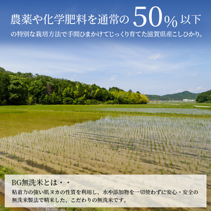 お米 みずかがみ 5kg BG無洗米 定期便 12ヶ月 お米