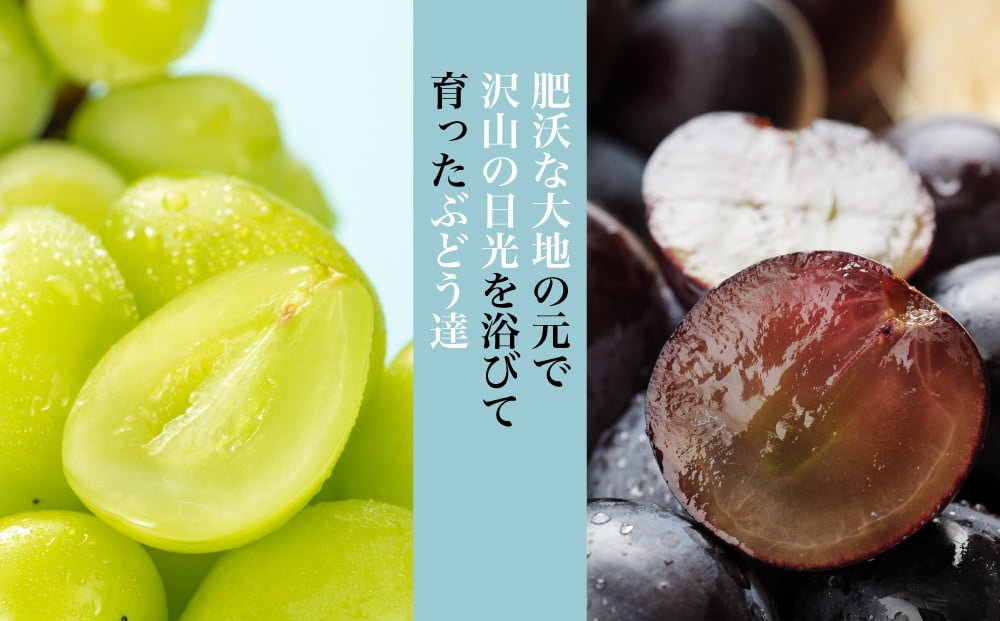 フルーツ栽培に適した「扇状地」と「盆地の外縁」という大変に恵まれた土地で私たちはブドウを育てさせていただいています。
