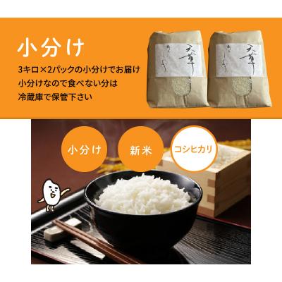 ふるさと納税 天草市 〈令和8年産〉熊本県天草産　天草コシヒカリ6kg(3kg×2)_S109-003A |  | 03