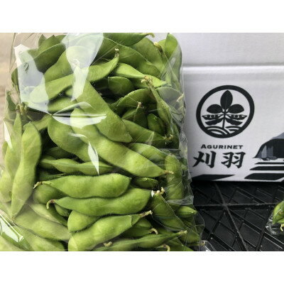 【ふるさと納税】新潟県刈羽村産　早生茶豆1kg(500g×2パック)【配送不可地域：離島・北海道・沖縄県】【1546655】