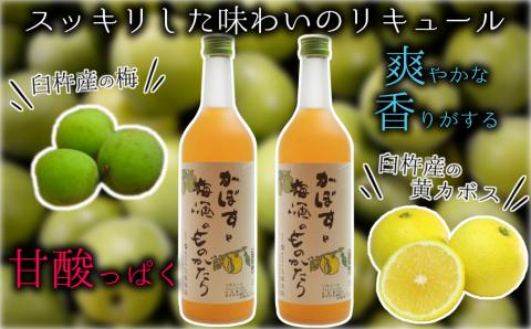 臼杵産のカボスをブレンドした梅酒「かぼすと梅酒のものがたり」720ml×2本