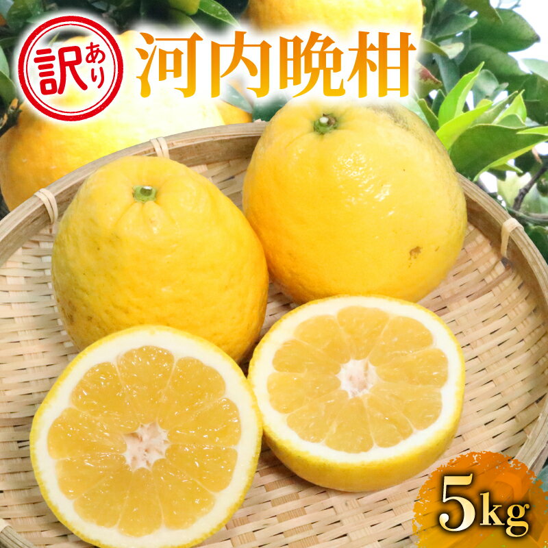 【ふるさと納税】 西尾農園 河内晩柑 家庭用 ( 訳あり ) 5kg 果物 柑橘 みかん フルーツ 柑橘類 甘い 酸味 ジューシー 香り 贈答用 ギフト 贈り物 お取り寄せ 産地直送 特産品 旬 季節 春 夏 国産 新鮮 美味しい おいしい 宿毛市 高知県 6000円