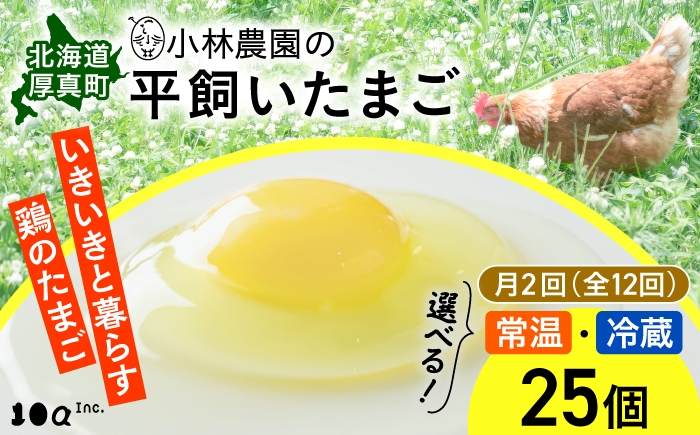 
                  【月2回・全12回定期便】小林農園の平飼いたまご・無投薬 25個《厚真町》【テンアール株式会社】 有精卵 卵 鶏卵 玉子 生卵 平飼い 北海道 定期便 [AXAN027]
                