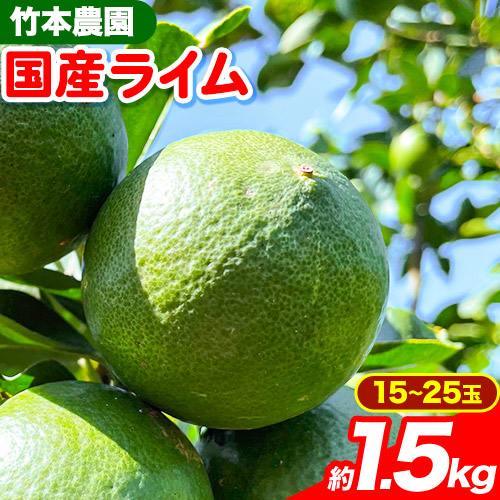 【先行予約】ライム 国産 ライム 約1.5kg ( 15～25玉 )《2025年9月下旬-12月中旬頃出荷》竹本農園 和歌山県 日高川町 産地直送 旬 新鮮 果物 柑橘 らいむ フルーツ 国産 送料無料