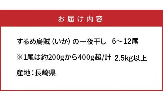 サイズは不揃いでも味は絶品!肉厚するめ烏賊一夜干し2.4㎏_1904R