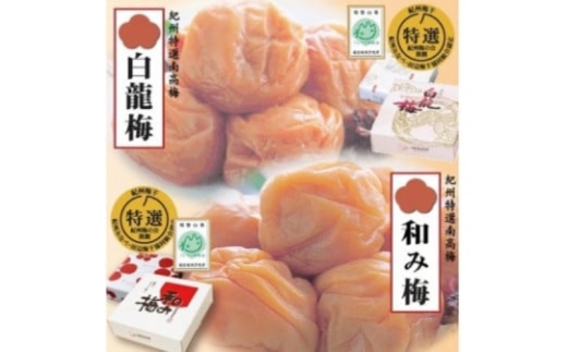 甘さ色々・梅干2品　【yokosho003A】