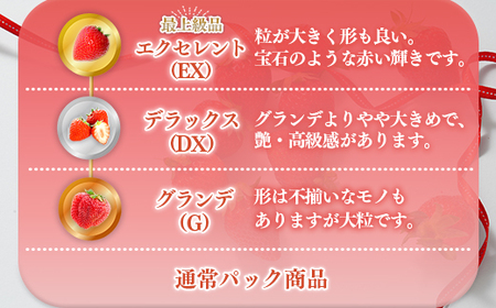 福岡県産 あまおう 1080g 送料無料 いちご 果物 フルーツ ギフト 季節限定 スイーツ ケーキ ブランド 先行予約 2024年12月より順次発送  TY050-2