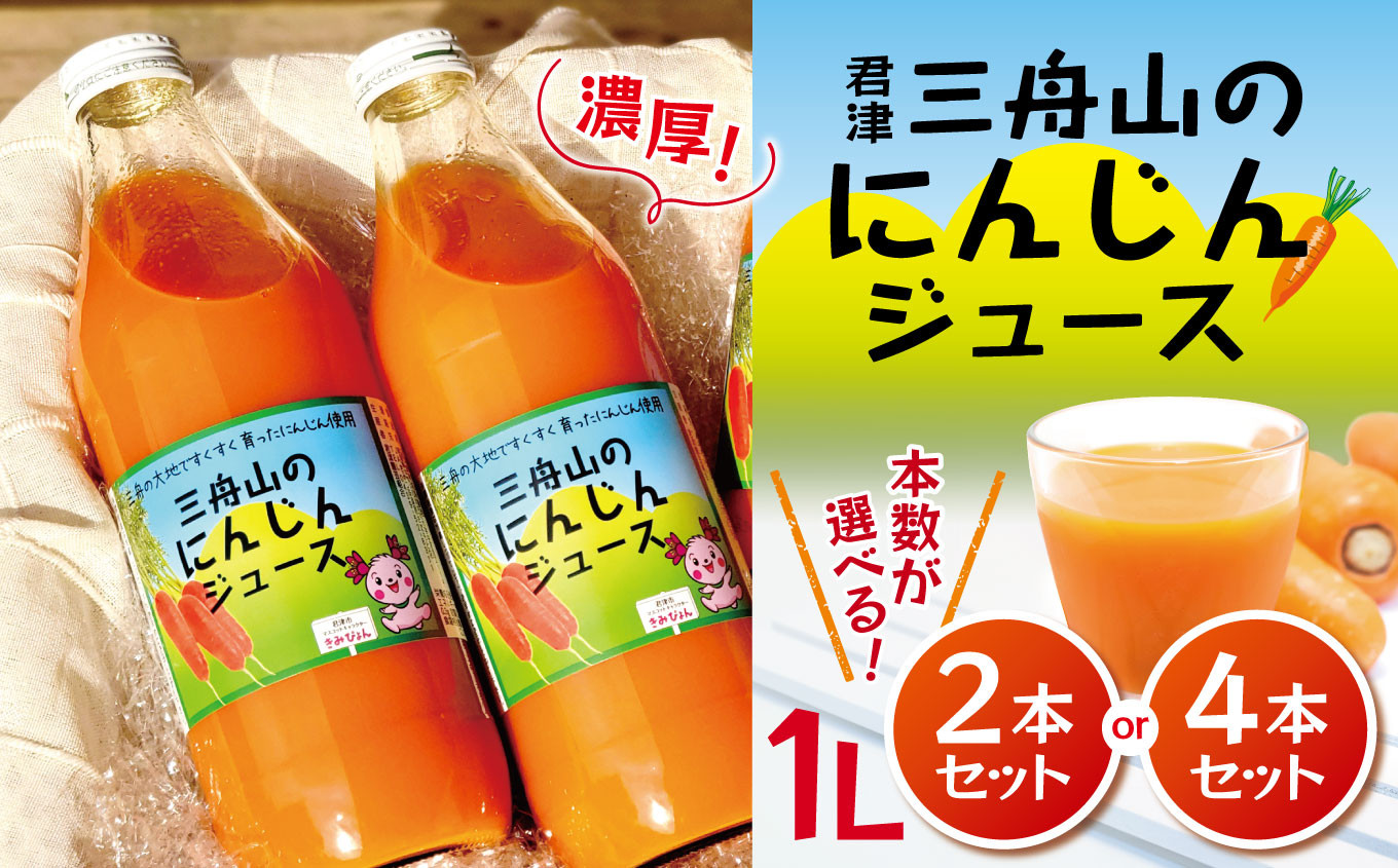 
            君津 三舟山 の にんじん ジュース 1L × 2本 or 4本 セット JAきみつ味楽囲さだもと店| さだもと 野菜 やさい にんじん 人参 ジュース ドリンク にんじんジュース 健康志向 父の日 母の日 プレゼント 千葉県 君津市
          