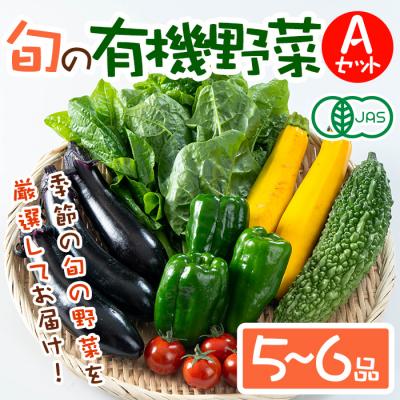 ふるさと納税 宇佐市 旬の有機野菜セットA(5〜6品)【114500101】【さとう有機農園】