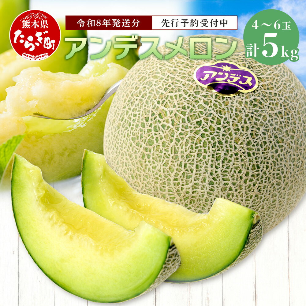 【ふるさと納税】《2026年発送分 先行予約》 アンデスメロン 合計5kg アンデス メロン 甘い 果物 フルーツ 果実 ジュージー 国産 熊本県産 熊本県 多良木町 先行予約 5kg 青肉 期間限定 数量限定 送料無料