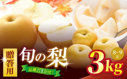 贈答用 信州松本平産 梨【幸水・豊水・南水】おまかせ詰め合わせセット 約3kg(８～９玉） ｜フルーツ 果物 甘い 贈答用 梨 なし 幸水 豊水 南水 信州産 長野県 松本市