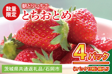 【2026年1月中旬以降発送】【数量限定】【朝採れ】いちご とちおとめ４パック【茨城県共通返礼品／石岡市】【朝どり 果物 くだもの フルーツ 苺 イチゴ 完熟 甘い 農家直送】（KU-11）