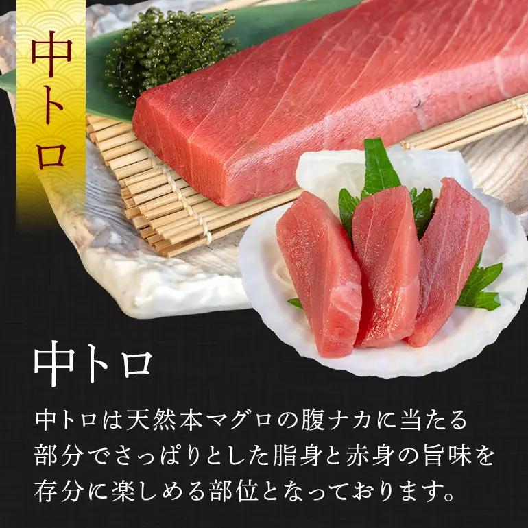 沖縄県産「旬の天然本マグロ」をお届け！天然本マグロセット 600g 99-5