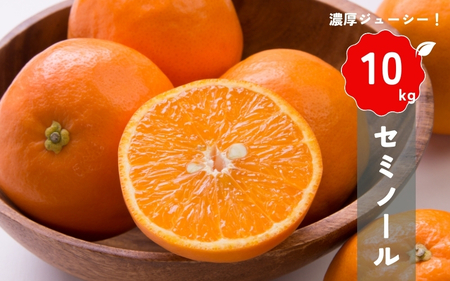 【先行予約】橋本農園の セミノール 10kg 【2026年3月中旬から4月中旬までに順次発送】 / セミノール 柑橘 フルーツ 果物 くだもの 先行予約 【mht018】