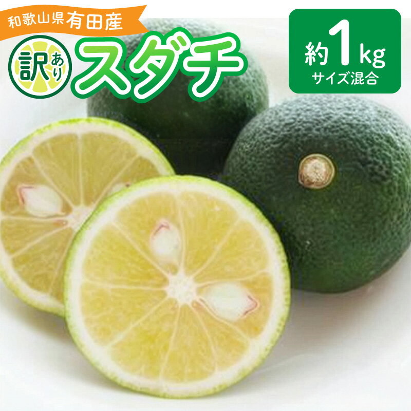 【ふるさと納税】2026年先行予約 和歌山県 有田産 スダチ 約 1kg 訳あり【すだち 柑橘 和歌山 有田 訳あり】