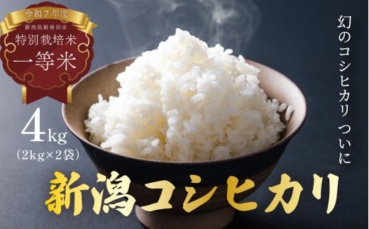 【発送日がわかる！】米 コシヒカリ 特別栽培米 昔ながら 農法 2kg × 2袋 4kg 選べる 発送月 発送日 令和7年産 7年産 新米 新潟県産 お米 白米 ご飯 精米 玄米 酵素 玄米 玄米食 ていねい 安心 個包装 小分け 星野農園 新潟県 新発田市 hoshino003