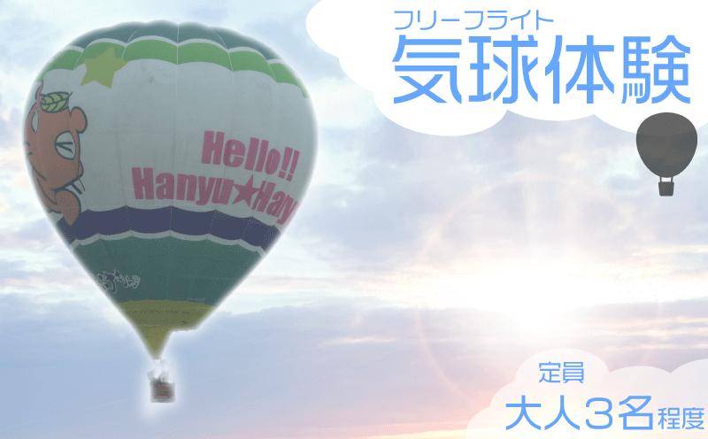 
【限定10】埼玉県 羽生市 熱気球 体験チケット 関東 バルーン 気球 絶景
