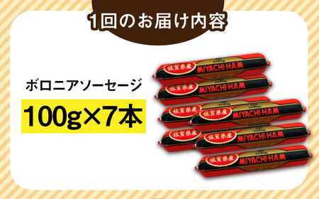 【6回定期便】宮地ハムのロングセラー ボロニアソーセージ 100g×7本 /宮地ハム[UBM012]