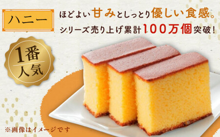 カステラ ざんまい 5枚カット×2箱 （ハニー×2） [QBL005] かすてら カステラ 長崎かすてら 長崎カステラ