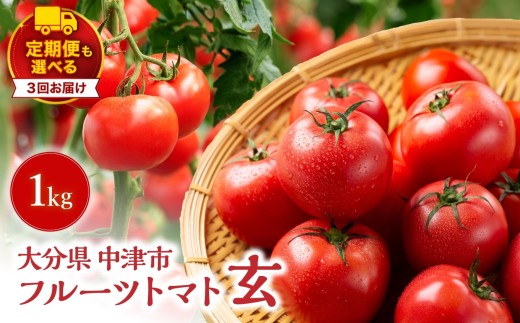 【定期便3回】フルーツトマト「玄」1kg | ミニトマト ぷちとまと プチトマト フルティカ ミディトマト 国産 野菜 やさい 定期 定期便 大分県 中津市