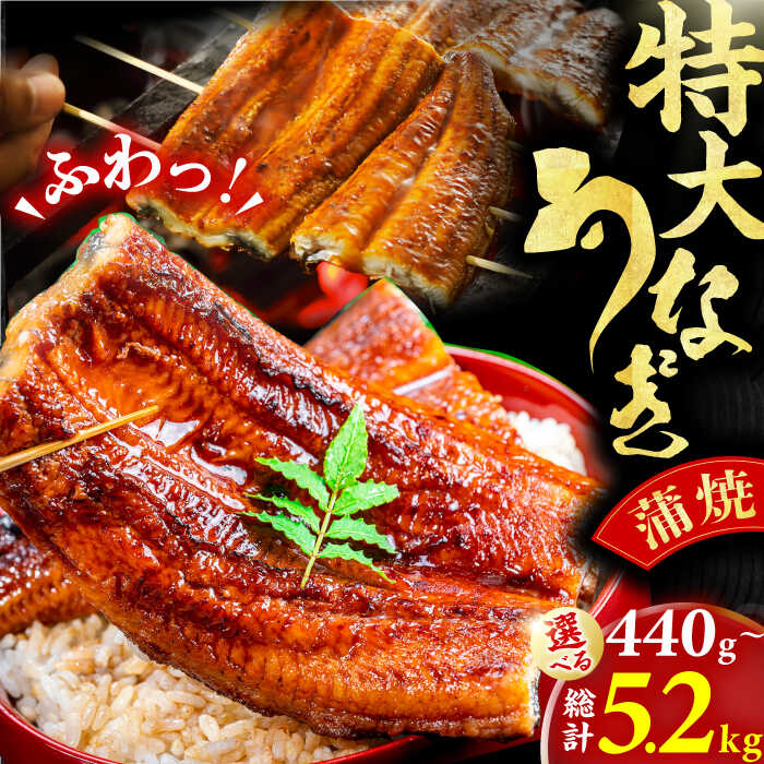 【ふるさと納税】【選べる定期便】特大蒲焼（220g×2尾）うなぎ ウナギ かば焼き 広川町 / イールファクトリー株式会社[AFBS005]