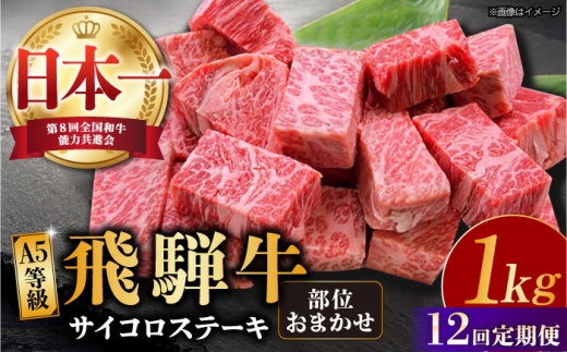 【12回定期便】【 飛騨牛】A5等級 サイコロステーキ 部位おまかせ 1kg 和牛 ブランド牛 国産 牛肉 多治見市 / 渡辺精肉店 [TAZ045]