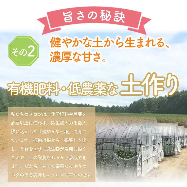 【2026年夏発送】北海道 富良野 メロン 3Lサイズ 2玉 計約4kg フルーツ 果物