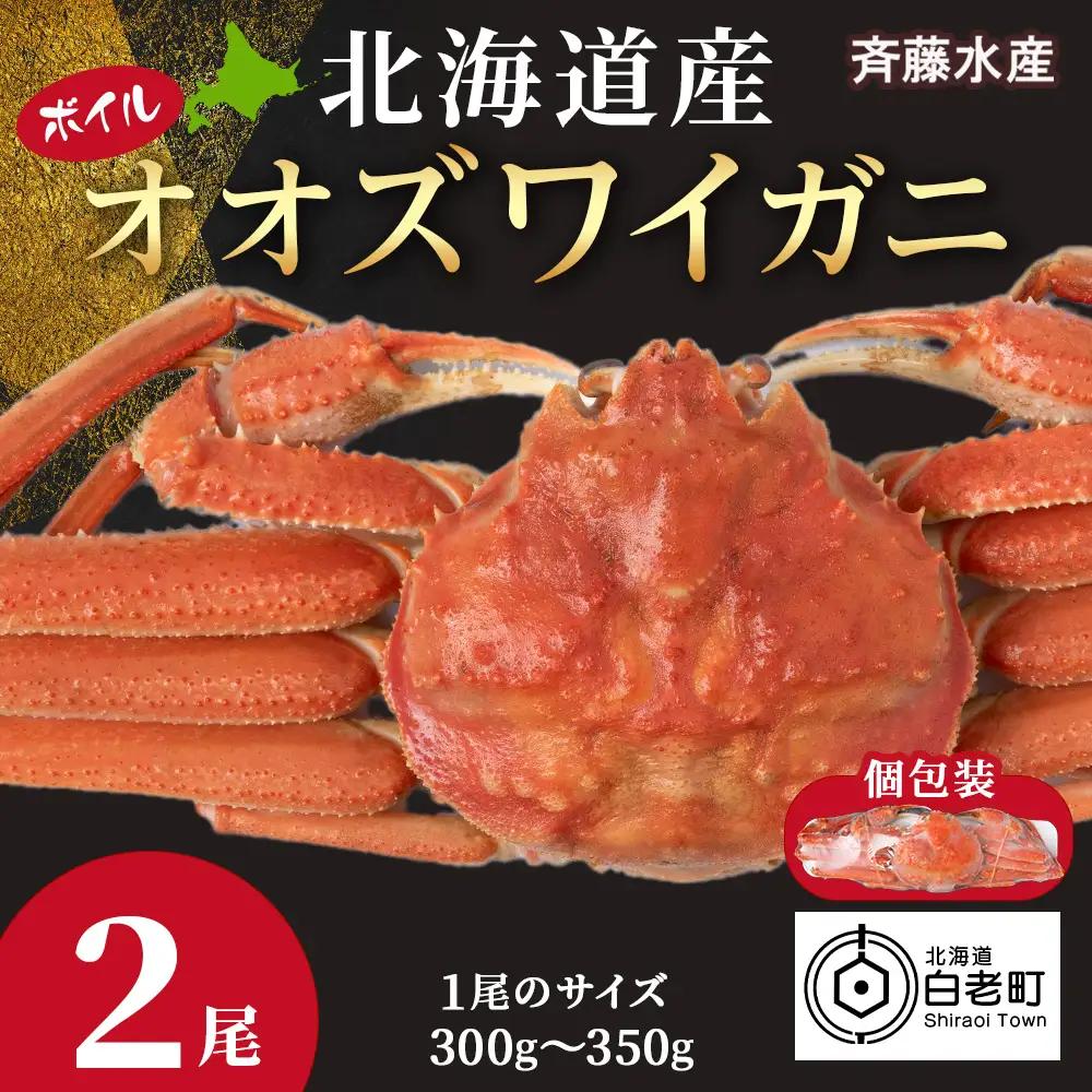 北海道産 オオズワイガニ 300g～350g ×2尾 ＜斉藤水産＞ AM113