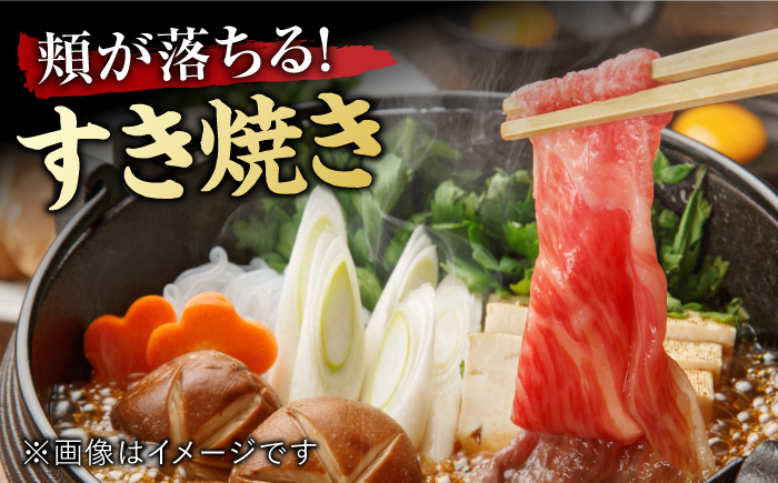 【12回定期便】 艶さし！ 佐賀牛 ローススライス 6kg （500g×12回） 吉野ヶ里町 [FDB032]