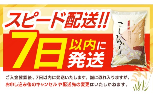 【新米】 令和8年産 コシヒカリ 精米 5kg ( 5kg × 1袋 ) (茨城県共通返礼品) こしひかり スピード発送 早い 米 ごはん もっちり 甘い コメ お米 白米 銘柄米 茨城県 桜川市 [