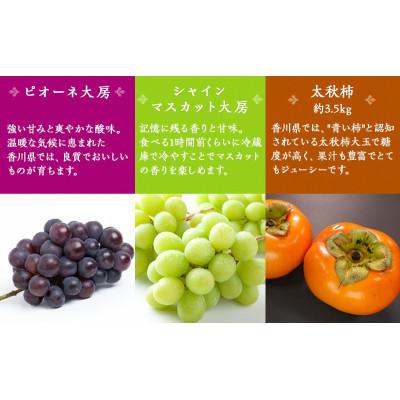ふるさと納税 綾川町 【発送月固定定期便】綾川町お勧めフルーツ定期便(年間12回)[54010374]全12回 |  | 03