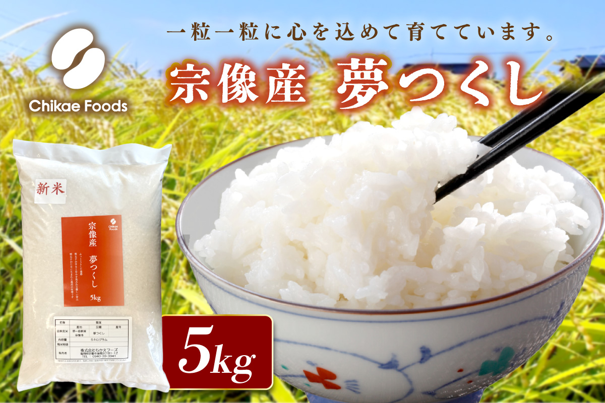 宗像産 夢つくし 5kg【ちかえフーズ】_HA1807