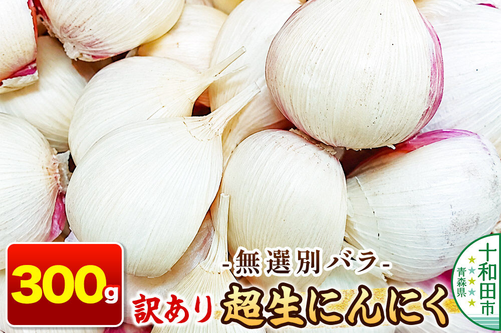 訳あり 超生にんにく 無選別バラ300g 青森県産 [稀少 ニンニク 直送 高糖度 甘い]