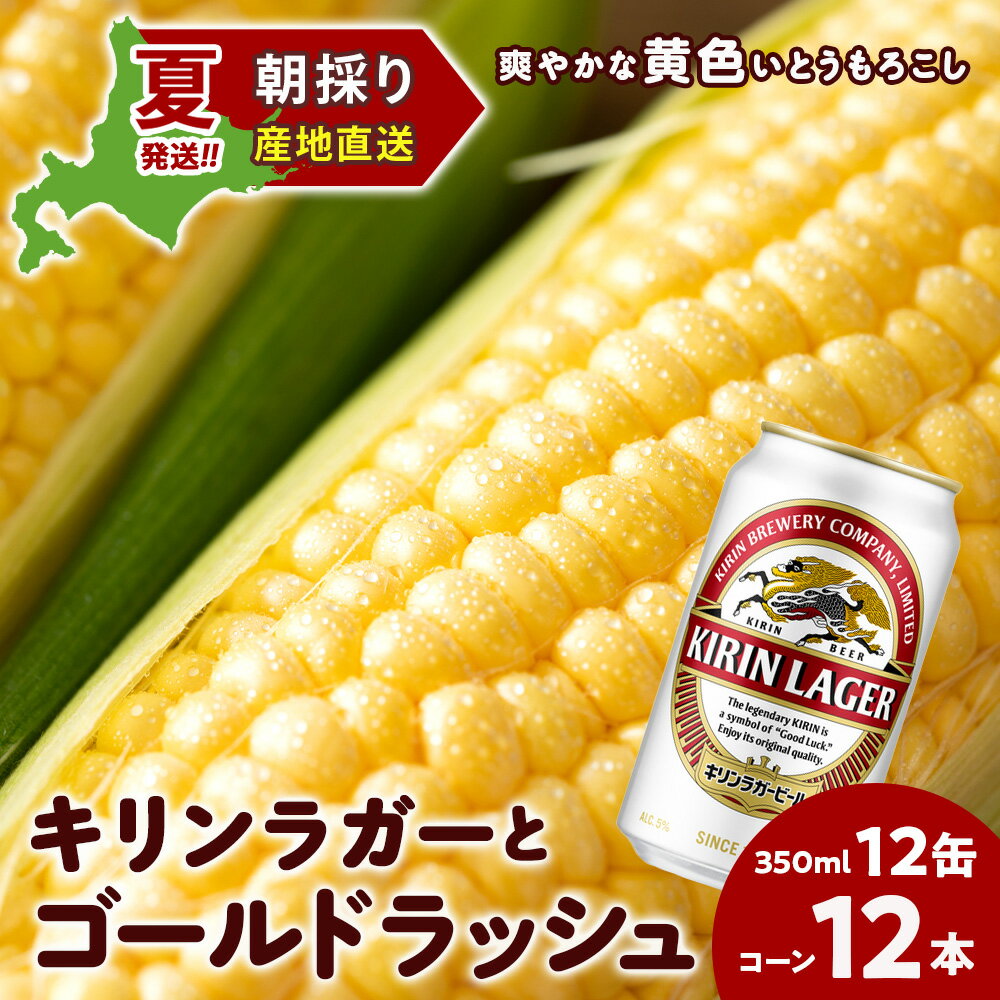【ふるさと納税】2025年夏発送 キリンラガービール 350ml 12缶＆黄色いとうもろこしゴールドラッシュ12本 北海道千歳産 野菜 とうもろこし とうきび キリンビール 麒麟ビール ビール 【北海道千歳市】ビール ギフト ふるさと納税 KIRIN