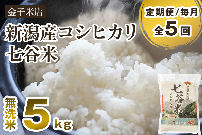 
            【令和7年産新米先行予約】【定期便5ヶ月毎月お届け】新潟県産 コシヒカリ「七谷米」無洗米 5kg 〈10月上旬から順次出荷〉 従来品種 窒素ガス充填パックで鮮度長持ち 老舗米穀店が厳選 金子米店 お米 米 定期便
          