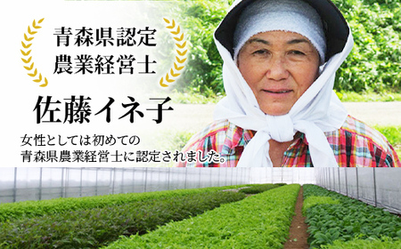 寒締め小松菜 約1kg 【イネ子の畑から】 新鮮 産地直送 サラダ おひたし おみそしる 旬 野菜 やさい こまつな  F6N-283