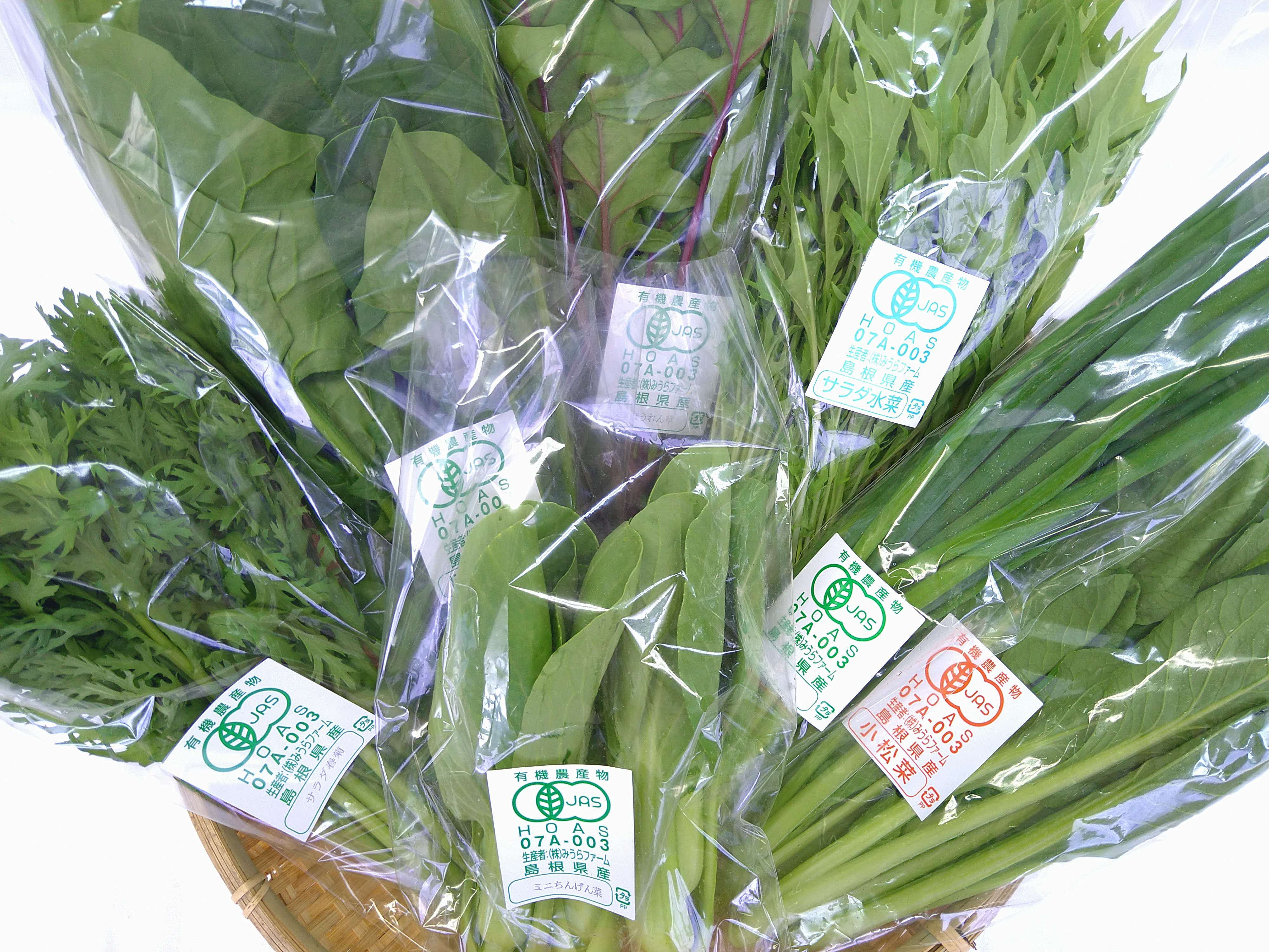 
みうらファームが選んだ 旬の有機野菜厳選８品セット 野菜 有機野菜 セット 厳選 8品 旬 有機JAS認証 詰め合わせ 産地直送 【1347】
