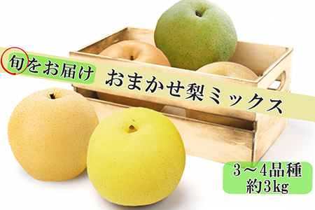 【旬をお届け】おまかせ梨ミックス３～４品種（約３kg）【1244】