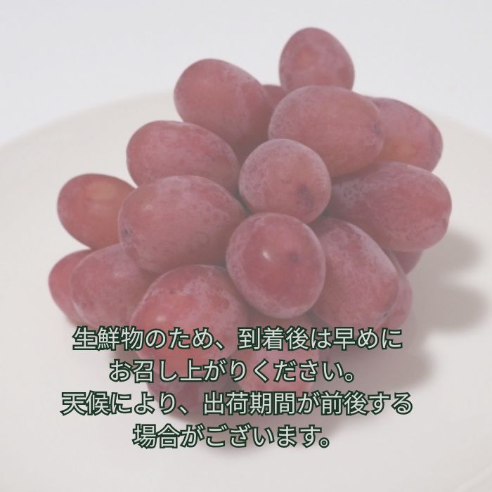 訳ありクイーンルージュ(R）2kg