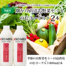 季節のお野菜セットと阿部牧場ののむヨーグルト800ml×2本