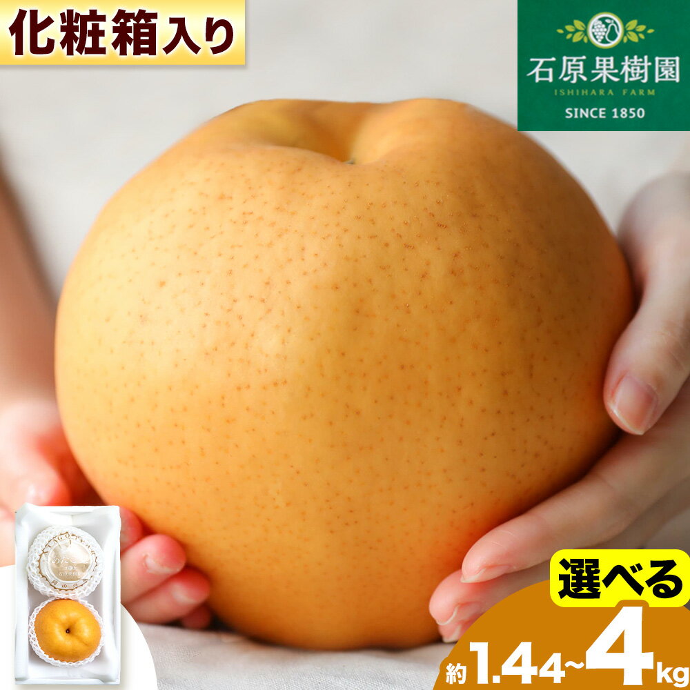 【ふるさと納税】【先行予約】あたご 梨 選べる内容量 化粧箱 石原果樹園 《11月中旬-12月下旬頃より発送予定》岡山県 浅口市 フルーツ 果物 ギフト 贈り物 国産 岡山県産 送料無料