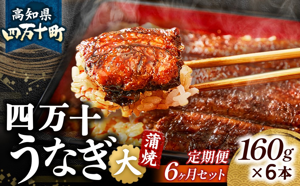 
            〈鰻大好き定期便〉うなぎ蒲焼き≪大≫（160g x 6本）6カ月セット Sesu-06 冷凍 蒲焼 鰻 ウナギ うなぎ 蒲焼き 肉厚 土用の丑の日 本格うなぎ
          