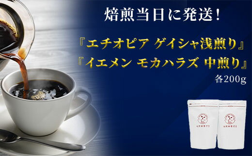 【ふるさと納税】【9/1より値上げ】 エチオピア ゲイシャ 浅煎り ＆ イエメン モカハラズ 中煎り 各200g 400g ブラジル インドネシア コスタリカ グアテマラ 豆 粉 挽きたて 珈琲 自家焙煎 焙煎幸房”そら” 岐阜県 大垣市