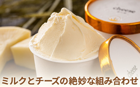 【先行予約】はんすうカップアイス バラエティパック C【2025年12月上旬より順次発送予定】【アイス ジェラート ひんやりスイーツ スイーツ デザート お菓子 洋菓子 詰め合わせ 食べ比べ ご褒美ア